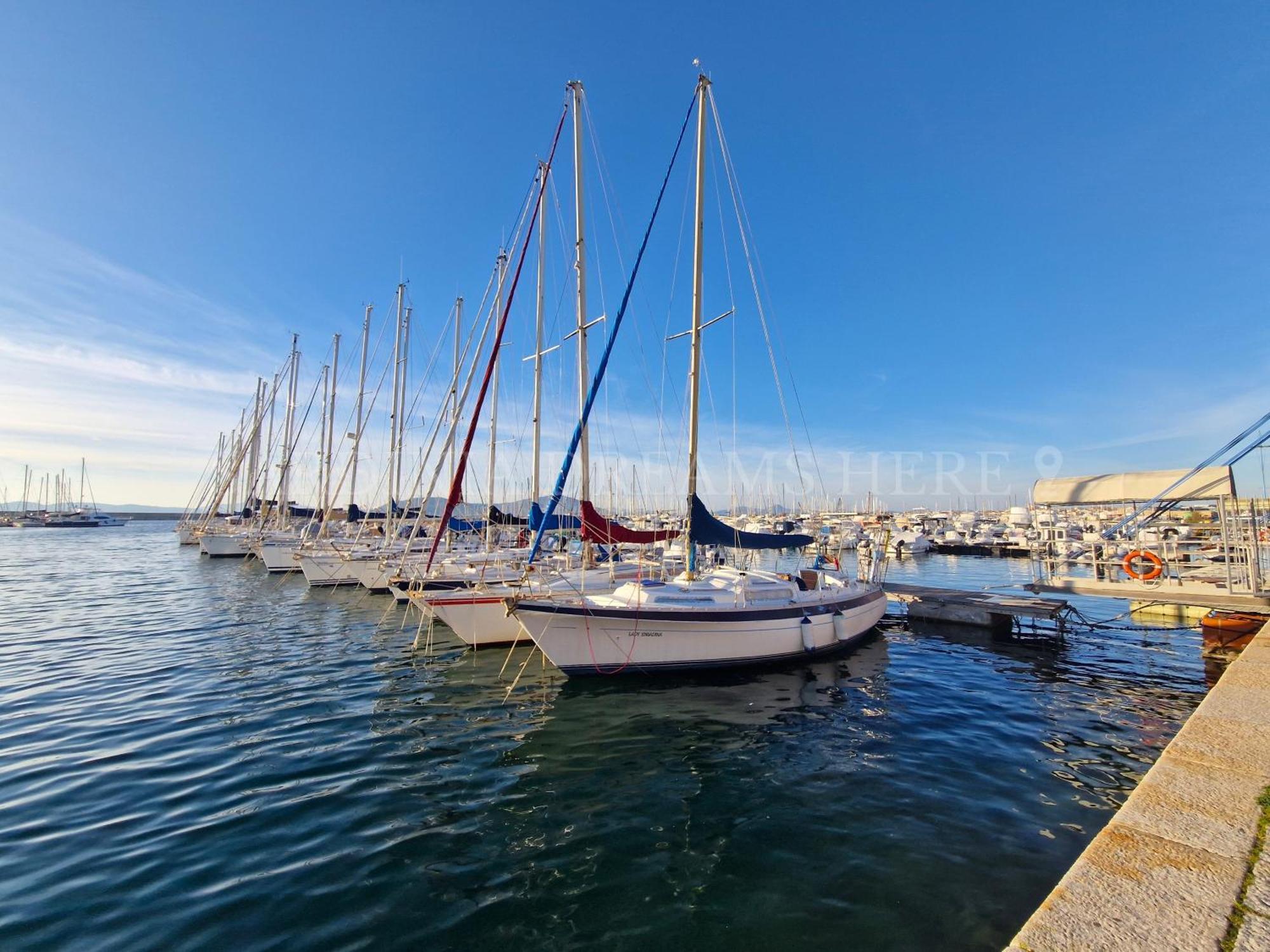 Casa Dory Daire Alghero Dış mekan fotoğraf